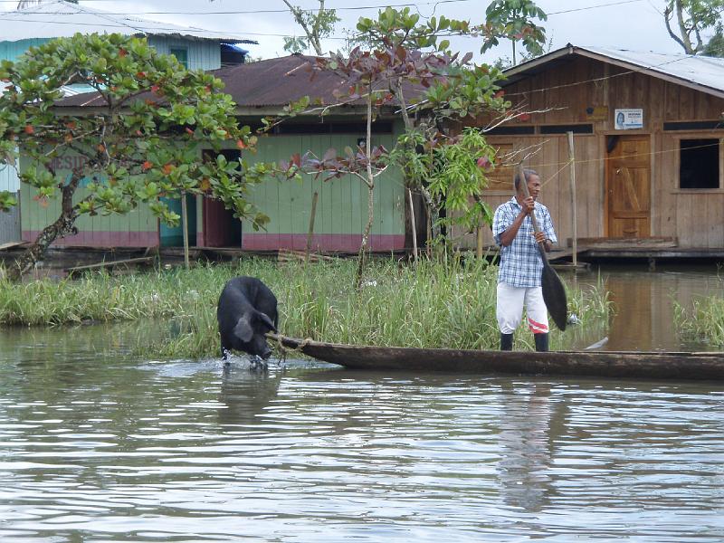 Colombia 2012 (109).JPG